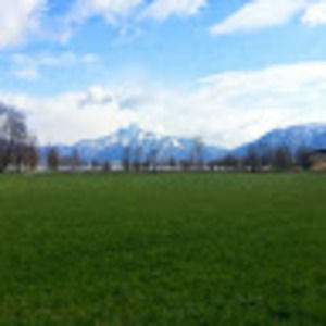 Meet your Posher, Anne